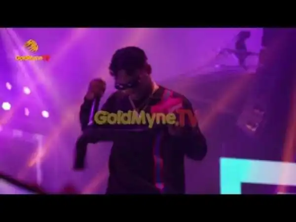 Video: DICE AILES